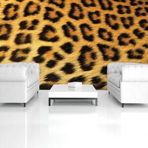 Fototapeta - Leopardí srst (152,5x104 cm)