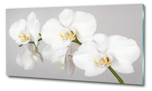 Foto obraz sklo tvrzené Orchidej osh-133396361