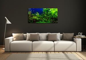 Foto obraz skleněný horizontální Ryby v akvárium osh-134899248