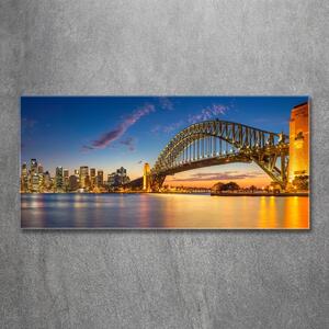 Foto-obraz fotografie na skle Panorama Sydney osh-138664692