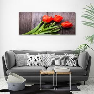 Foto obraz fotografie na skle Červené tulipány osh-137777387