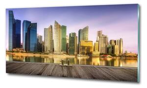 Fotoobraz na skle Singapur osh-139906536