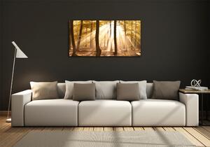 Fotoobraz na skle Podzimní les osh-140215873