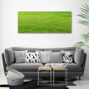 Foto obraz sklo tvrzené Zelená tráva osh-141153462