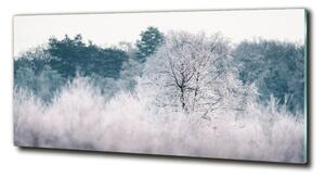 Foto obraz sklo tvrzené Stromy zimou osh-142936706