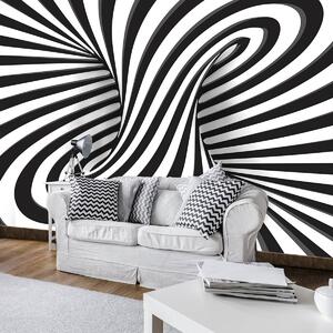 Fototapeta - Bílé a černé 3D kroužení (152,5x104 cm)
