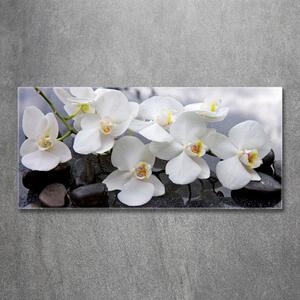 Foto obraz skleněný horizontální Orchidej osh-143985624