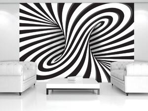 Fototapeta - Bílé a černé 3D kroužení (254x184 cm)