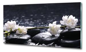 Foto obraz sklo tvrzené Květ višně osh-14431033