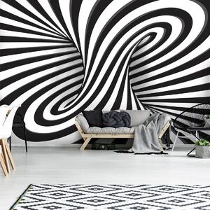 Fototapeta - Bílé a černé 3D kroužení (254x184 cm)