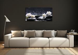 Foto obraz sklo tvrzené Květ višně osh-14431033