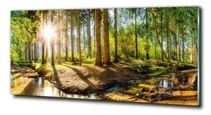 Foto obraz sklo tvrzené Panorama les osh-145813283
