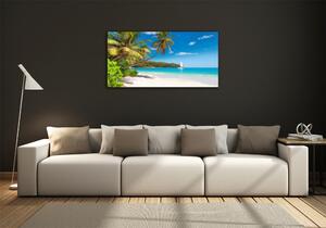 Foto obraz sklo tvrzené Tropická pláž osh-148078888