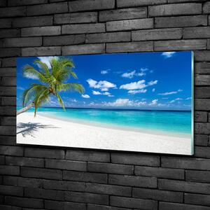 Foto obraz skleněný horizontální Tropická pláž osh-151547263