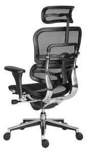 Kancelářská židle Ergohuman