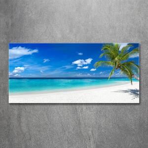 Foto obraz fotografie na skle Tropická pláž osh-158283371