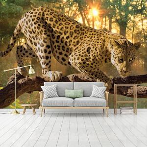 Fototapeta - Jaguar Forest Woods (152,5x104 cm)