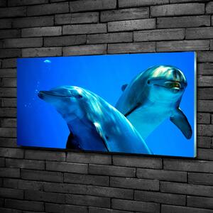 Moderní skleněný obraz z fotografie Dva delfíni osh-16277956