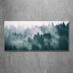 Fotoobraz na skle Mlha nad lesem osh-167720092