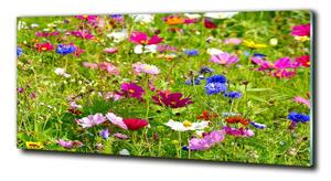 Fotoobraz na skle Plolní květiny osh-169402975