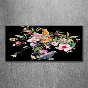 Foto-obraz na skle Květiny a ptáci osh-172830209