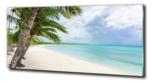 Foto obraz fotografie na skle Tropická pláž osh-176119996