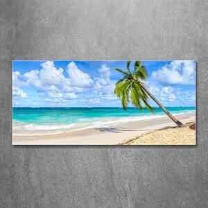Fotoobraz na skle Tropická pláž osh-178941765