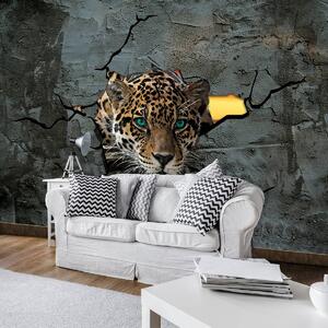 Fototapeta - Jaguar za cementovou zdí (152,5x104 cm)