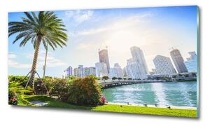 Foto-obraz fotografie na skle Miami USA osh-189099838