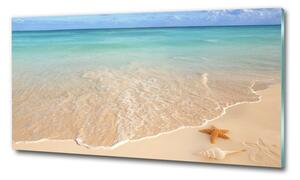 Fotoobraz na skle Hvězdice na pláži osh-23665929