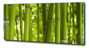 Foto obraz fotografie na skle Bambus osh-24255297