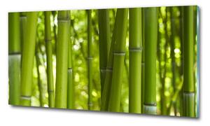 Foto obraz fotografie na skle Bambus osh-24255297