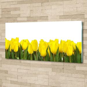 Foto obraz sklo tvrzené Žluté tulipány osh-2665979