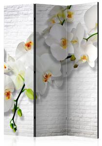Artgeist Paraván - The Urban Orchid [Room Dividers] Velikosti (šířkaxvýška): 135x172