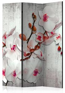 Artgeist Paraván - Concrete Orchid [Room Dividers] Velikosti (šířkaxvýška): 135x172