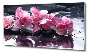 Foto obraz sklo tvrzené Růžová orchidej osh-28903356