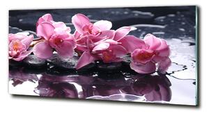 Foto obraz sklo tvrzené Růžová orchidej osh-28903356