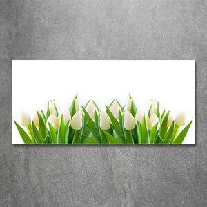 Fotoobraz na skle Bílé tulipány osh-30153186