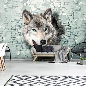 Fototapeta - Vlk vychází ze zdi 3D (254x184 cm)