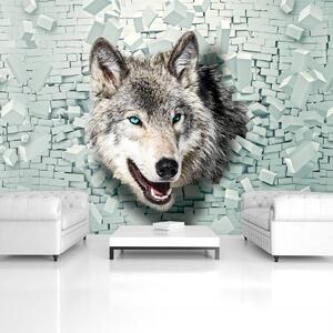 Fototapeta - Vlk vychází ze zdi 3D (152,5x104 cm)