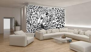 Fototapeta - Černobílá - gepard (254x184 cm)