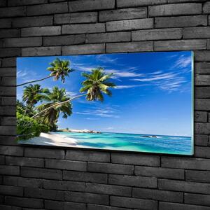 Fotoobraz na skle Tropická pláž osh-32258072