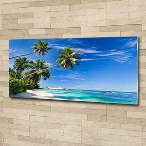 Fotoobraz na skle Tropická pláž osh-32258072