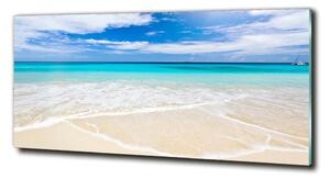 Foto obraz sklo tvrzené Tropická pláž osh-32914566