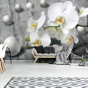 Fototapeta - Bílé orchideje (152,5x104 cm)