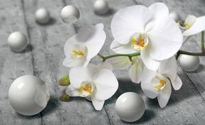 Fototapeta - Bílé orchideje (254x184 cm)