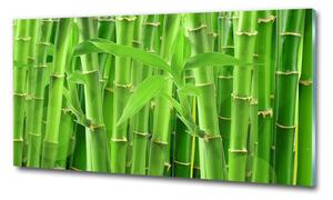 Fotoobraz na skle Bambusy osh-36350386