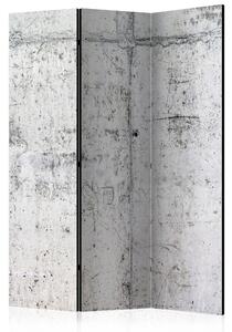 Artgeist Paraván - Concrete Wall [Room Dividers] Velikosti (šířkaxvýška): 135x172