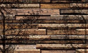 Fototapeta - Stíny stromů na dřevěných prken (152,5x104 cm)