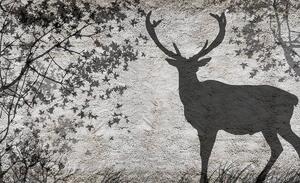 Fototapeta - Stín jelena na šedé zdi (152,5x104 cm)